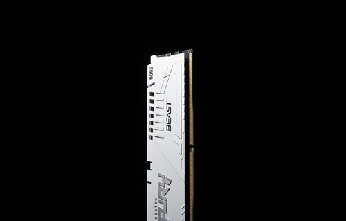 Kingston technology fury beast - kingston,